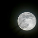 La pleine lune du loup du 25 janvier 2024