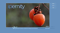 Screen Capture #489 - 'ipernity  photo sharing community ipernity'
