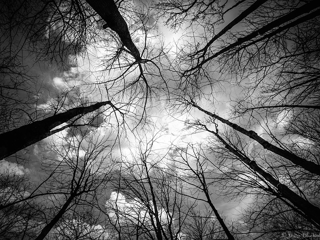 Imaginaire tempétueux