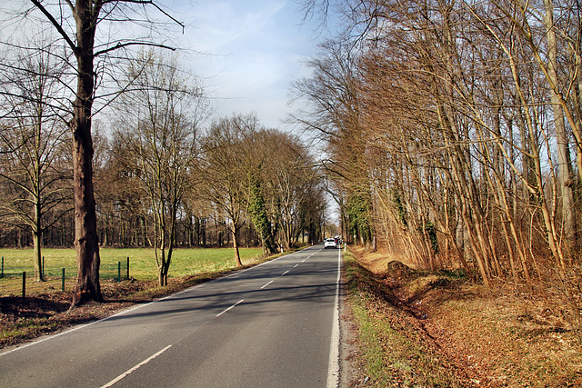 Kurler Straße (Dortmund-Kurl) / 12.03.2022