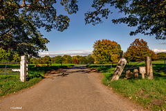 A Barford Park Autumn