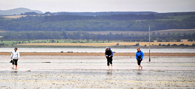 Scotland St. Cuthbert's Way