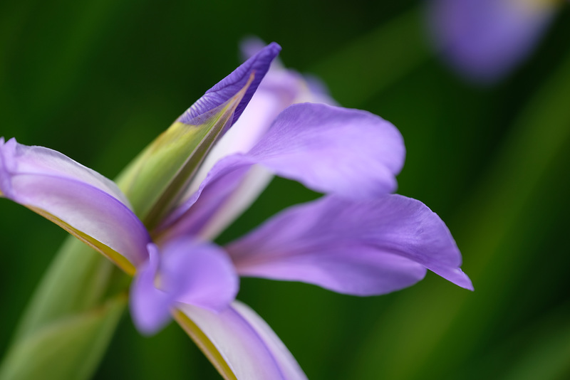 DSCF7610