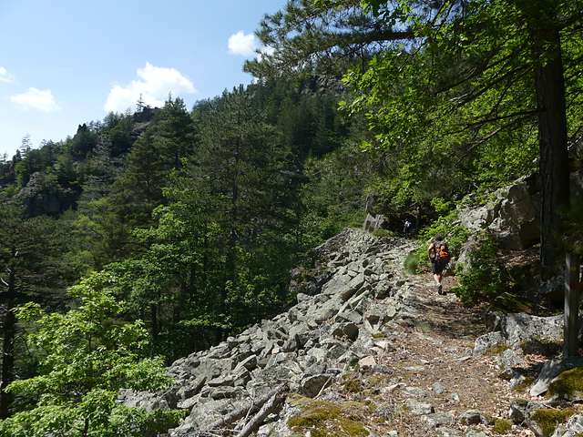 20230606 -08 Lozère tritons (185)