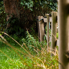 Do It Yourself Fence