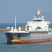 Velox