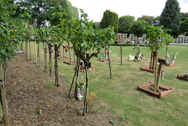 putney vale cemetery, london