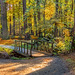 Brücke in den Herbst