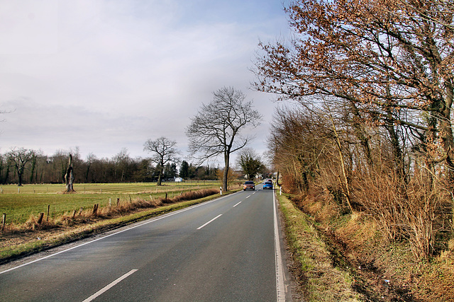 Kurler Straße (Dortmund) / 12.03.2022