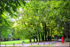 lousberg bench (Hbm)