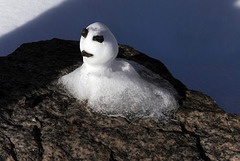 Lofoten, Uttakleivveien, Smile