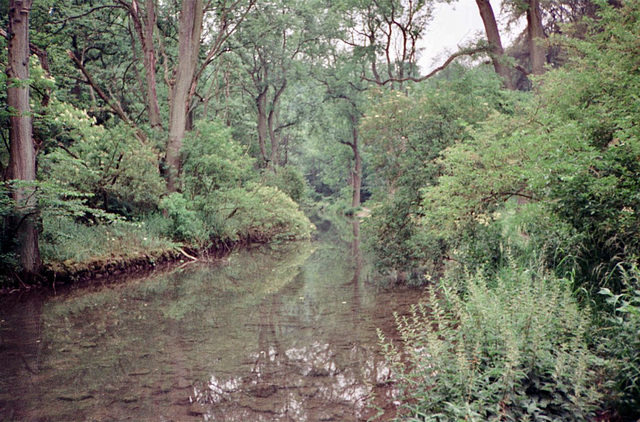 River Lathkill near Over Haddon (Scan from July 1991)