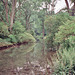 River Lathkill near Over Haddon (Scan from July 1991)