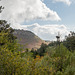 Driving to the crest of the Sandia mountains