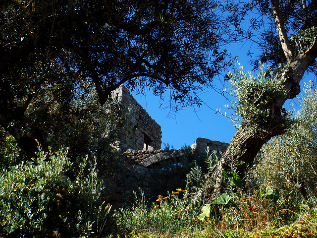 The spring garden of the old castle