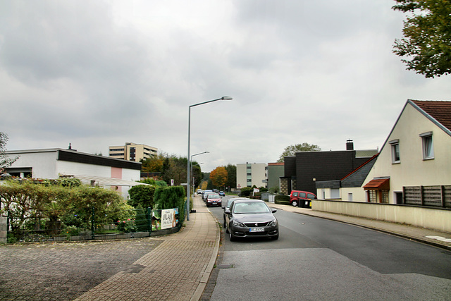 Bachstraße (Herten-Disteln) / 17.10.2020