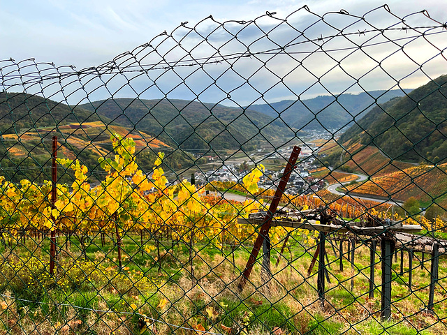 Herbst Fence Friday