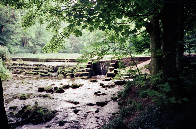 River Lathkill (Scan from July 1991)