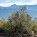 New Mexico landscape