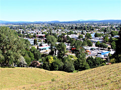 Tokoroa, South Waikato.