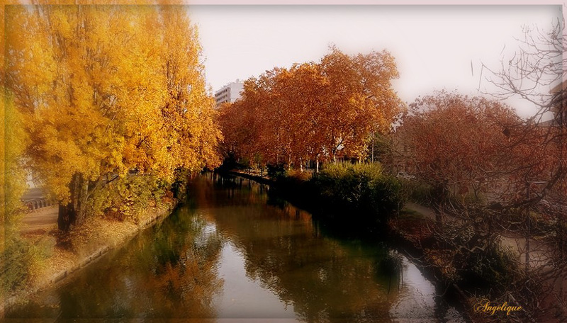 Canal du midi Toulouse...........Belle semaine à tous !