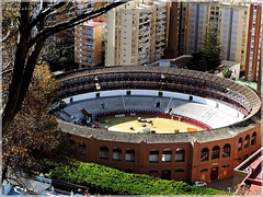 MALAGA (Andalusia -Spain) - Arena de toros