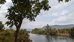 Nature apaisante du Cambodge / Cambodia's peaceful nature