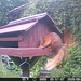 oaw[rsq] - visit A : 18Jun2026 {2 of 11}