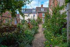 Seend, Wiltshire: Garden Borders