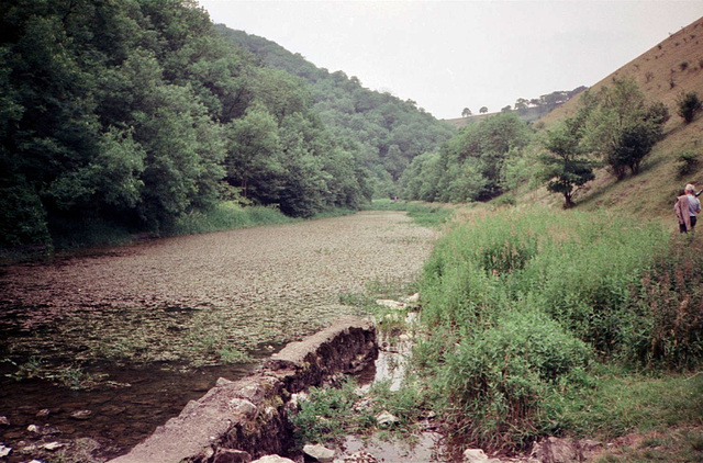 River Lathkill (Scan from July 1991)
