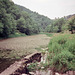 River Lathkill (Scan from July 1991)