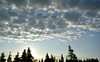 backlit sunrise at Lookout Point