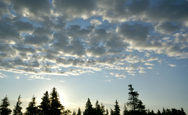 backlit sunrise at Lookout Point