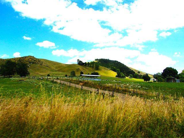 A South Waikato Farm.