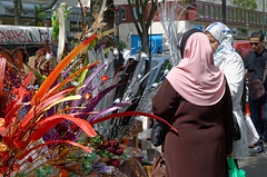 Fleurs exotiques