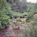 River Lathkill (Scan from July 1991)