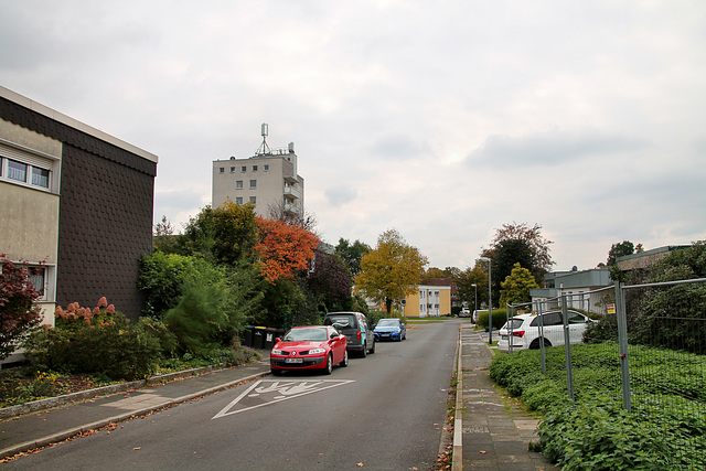 Hollenbeck (Herten-Disteln) / 17.10.2020