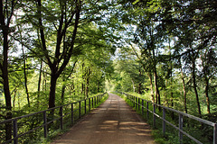 Radweg auf der ehem. Bahnstrecke Wuppertal-Wichlinghausen–Hattingen (Sprockhövel) / 29.07.2021
