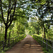 Radweg auf der ehem. Bahnstrecke Wuppertal-Wichlinghausen–Hattingen (Sprockhövel) / 29.07.2021