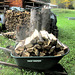 moving firewood