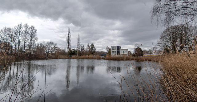 026-365, ehmalige Lehmgrube in Neukirchen bei Chemnitz