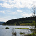 am Schluchsee in der Nähe von Aha (© Buelipix)