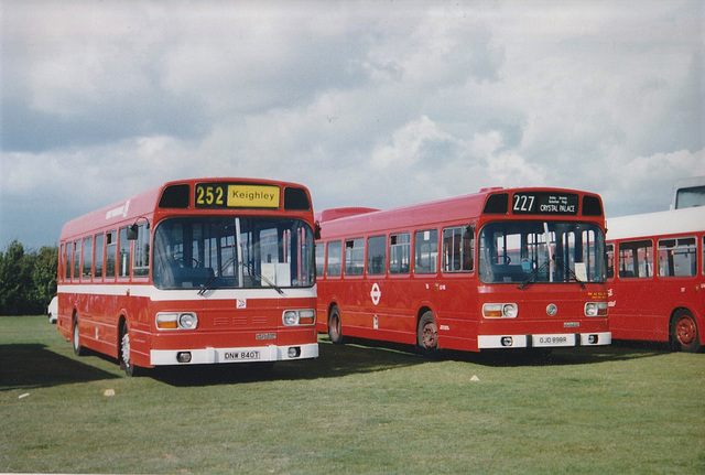 Leyland Nationals at Showbus, Duxford – 26 Sep 1999 (425-10) Leyland Nationals at Showbus, Duxford – 26 Sep 1999 (425-10)