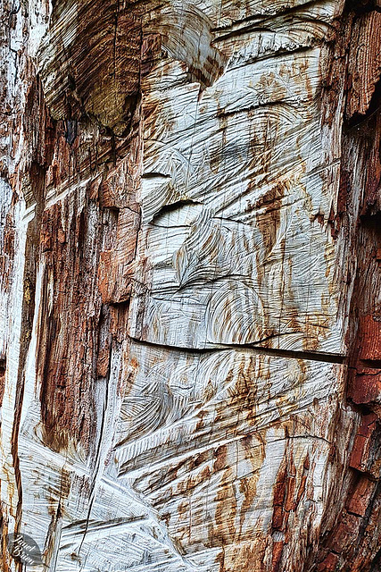 Saw-Texture