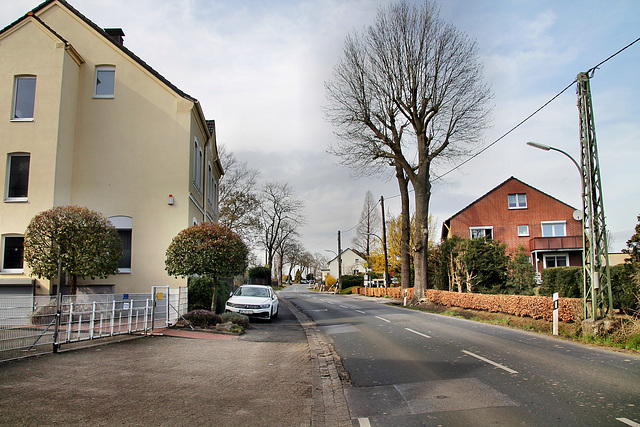 Kurler Straße (Dortmund-Lanstrop) / 12.03.2022