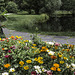 Hinterzarten im Juni (© Buelipix)