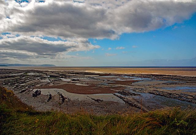 Rock Pools and Fossils