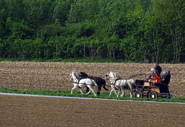 Rural charm