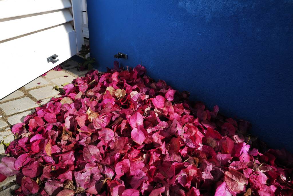 Penedos, Blue, white and pink behind my door