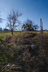 Baum und Stein